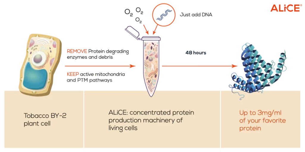 ALiCE+figure+with+PTM-1920w