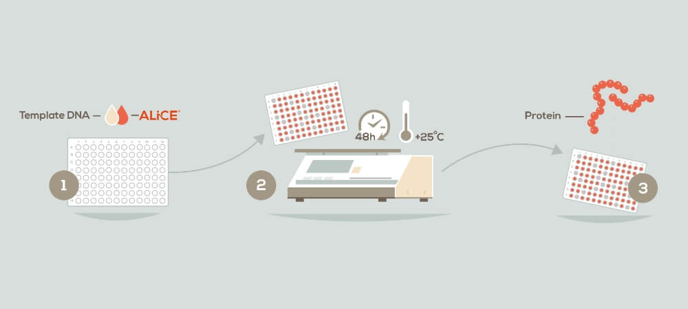 ALiCE workflow