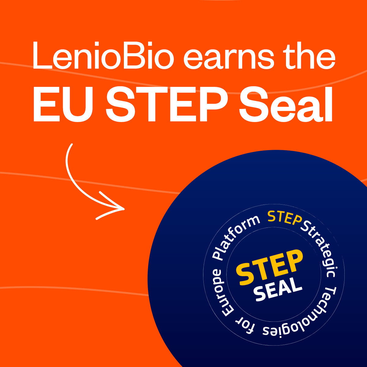 STEP-Seal-aspect-ratio-1500-1500
