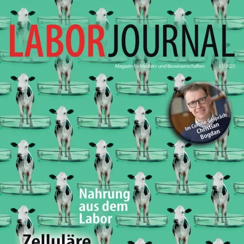Labor-Journal-2880w-aspect-ratio-960-960