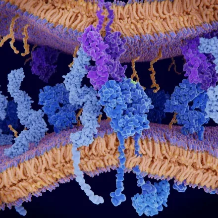 Websiteimages-Big-580440-1280w-aspect-ratio-1000-1000