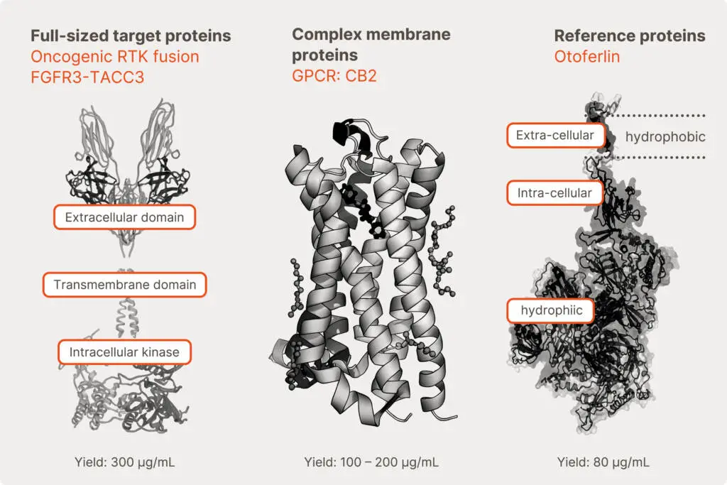 Membrane protein expression results with ALiCE®